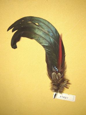 Trachtenhutfeder Dirndlhutfeder Hutfeder Hahn grün Fasan braun rot 26 cm Nr61827