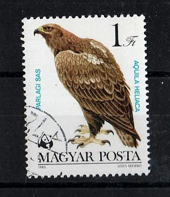 Motiv - Vogel (Kaiseradler - Aquila heliaca o )