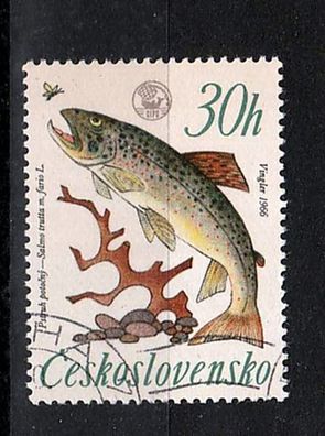 Tschechoslowakei - Motiv Fische ( Bachforelle -Salmotrutta forma fairo ) o