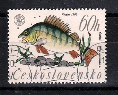 Tschechoslowakei - Motiv Fische ( Flussbarsch - Perca fluviatilis ) o