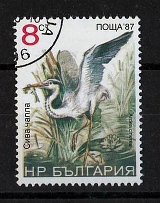Motiv Bulgarien Vögel 3692 - Fischreiher ( Ardea cinerea ) - o