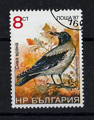Motiv Bulgarien Vögel 3691 - Nebelkrähe ( Corvus corone cornix ) - o