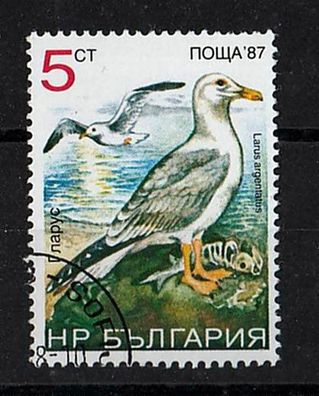 Motiv Bulgarien Vögel 3689 - Silbermöwe ( Larus argentatus ) - o