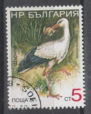 Motiv Bulgarien Vögel 3690 - Weißstorch ( Ciconia ciconia ) - o (2)