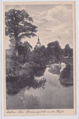 95024 Ak Treben in Thüringen Stimmungsbild an der Pleiße um 1930