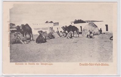 42989 AK Kamele im Dienste der Schutztruppe Deutsch Süd West Afrika um 1900