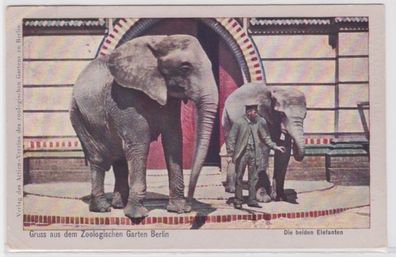 94797 Ak Gruss aus dem Zoologischen Garten Berlin - Die beiden Elefanten 1912