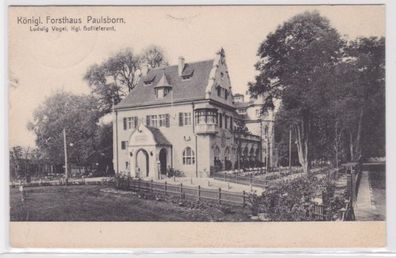 94804 Ak Berlin Blick aufs königliche Forsthaus Paulsborn am Grunewaldsee 1907