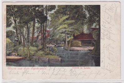 95055 Ak Gruss aus dem Spreewald - Gehöft in Lehde 1903