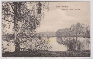 95804 Ak Breitingen Blick von den Teichen um 1930