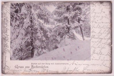 31414 Ak Gruss aus Aschersleben - Partie auf der Burg mit Aussichtsturm 1906