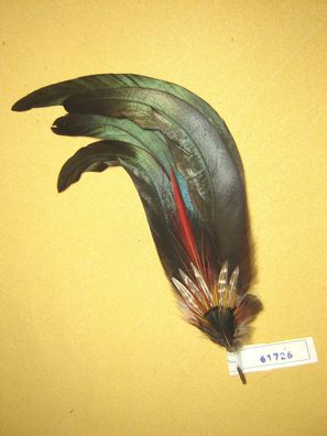 Trachtenhutfeder Dirndlhutfeder lange Hutfeder Hahn grün mit rot bunt 28 cm Nr61726