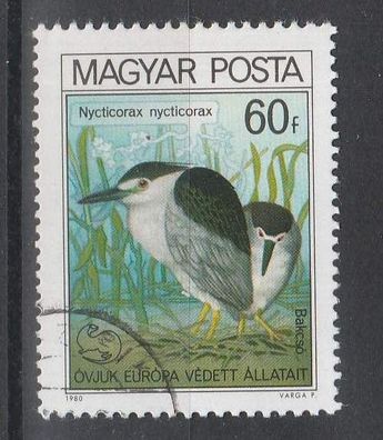 Ungarn Motiv - Vogel Nachtreiher (Nycticorax nycitcorax) o