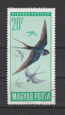 Ungarn Motiv - Vogel Rauchschwalbe (Hirundo rustica ) o