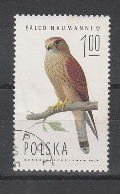 Polen- Motiv - Vogel ( Rötelfalke-Weibchen - Falco naumanni ) o