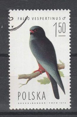 Polen- Motiv - Vogel ( Rotfußfalke-Männchen - Falco vespertinus ) o