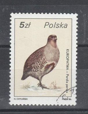 Polen- Motiv - Vogel ( Rebhuhn - Perdix perdix ) o
