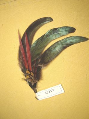 Damenhutfeder Hahnenfedern mit Fasan rot Hutschmuck 17 cm Nr 62309
