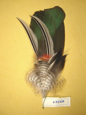 Trachtenhutfeder Dirndlhutfeder Ente grün mit grau gestreift und Erpel 18 cm Art63049