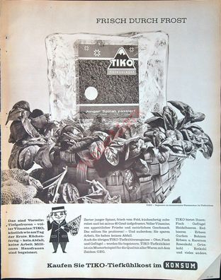 Originale alte Reklame Werbung Tiko Tiefkühlkost v. 1963