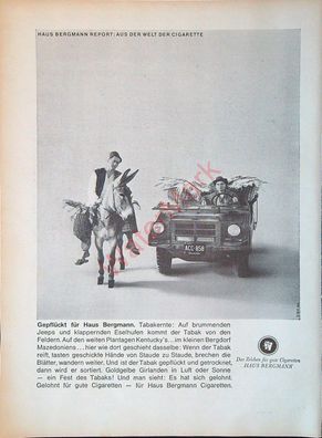 Originale alte Reklame Werbung Zigaretten Haus Bergmann v. 1962