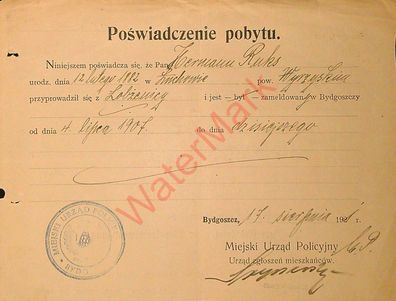 Dokument Urkunde Meldebescheinigung Bydgoszcz ehemals Bromberg v. 4.7.1907 (1)