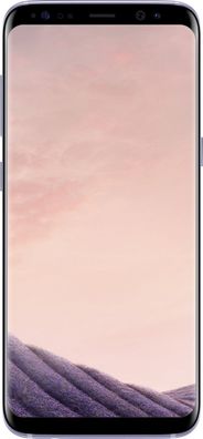 Samsung SM-G950F Galaxy S8 Orchid Grey - Akzeptabler Zustand ohne Vertrag