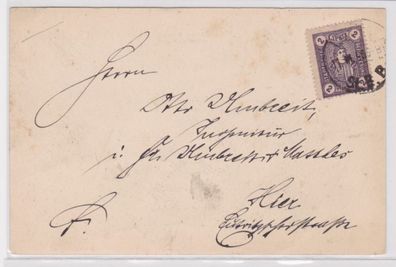 02732 Postkarte Lipsia Stadtbriefbeförderung Leipzig 1896