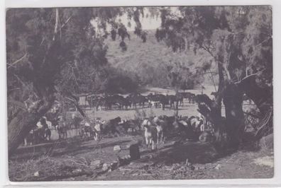 67466 Foto Ak Farm bei Karibib Deutsch Süd-West-Afrika Namibia um 1910