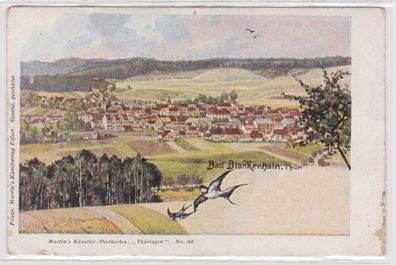 95532 Ak Bad Blankenhain Thüringen Panoramaansicht und 2 Schwalben um 1900