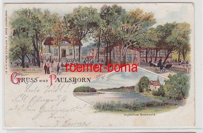 72325 Ak Lithografie Gruss aus Paulsborn mit Jagdschloss Grunewald 1898