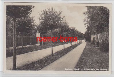 72936 Ak Dahme (Mark) Promenade im Südhag 1929