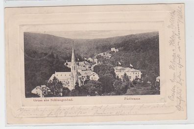 71504 Ak Gruß aus Schlangenbad Panorama 1902