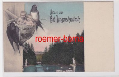 85003 Humor Ak Gruß aus Bad Langenschwalbach Partie a.d. Kurpark um 1910