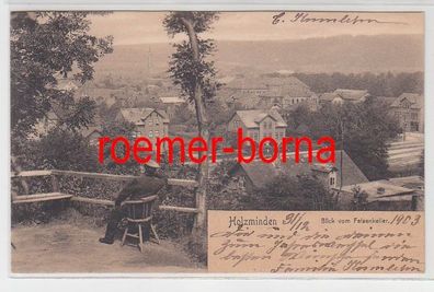 11265 Ak Holzminden Blick vom Felsenkeller 1903