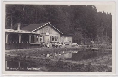 95426 Ak Braunlage im Harz, Forellenteich um 1920