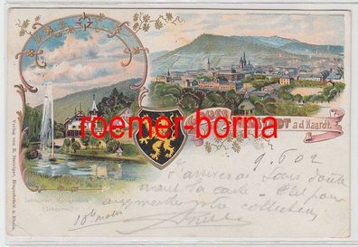 73827 Ak Lithographie Gruss aus Neustadt an der Haardt 1902