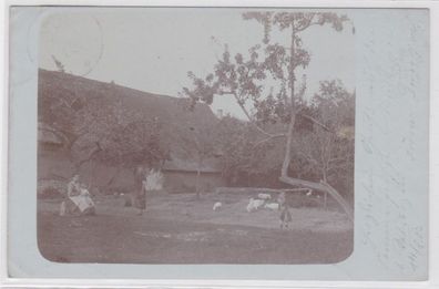 95634 Foto Ak Machern Bauernhof, Frauen mit Kindern, Gänse 1903