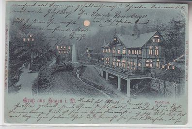 71276 Halt gegens Licht Ak Gruß aus Hagen in W. Waldlust 1899