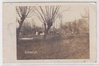 71833 Alte Fotokarte Dimaciul in Rumänien Straßenansicht mit Häuser 1917