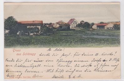 66984 AK Gruss aus Schönegg - Ortsansicht um 1900
