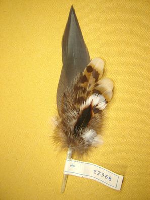 große Hutfeder grau mit braunbeige ca 18cm Trachtenhutfeder Hutschmuck Nr62968