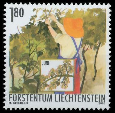 Liechtenstein 2003 Nr 1317 postfrisch X28E55E