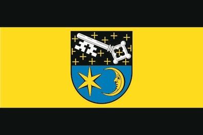 Fahne Flagge Laumersheim Premiumqualität