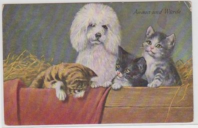 68697 Kitsch Ak Katzen und Hunde Babys im Stroh 'Anmut und Würde' um 1910