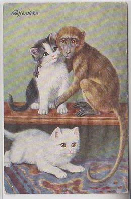 68595 Kitsch Ak Katzen Babys spielen mit Affe 'Affenliebe' um 1910