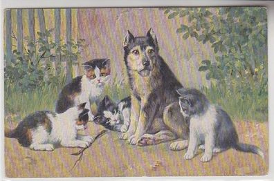 68053 Kitsch Ak Katzen Babys spielen mit Hund um 1910