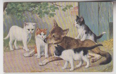 67063 Kitsch Ak Katzen Babys spielen mit Hund um 1910