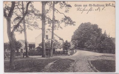 86740 AK Gruss aus Alt-Buchhorst - Haus am Waldesrand 1914