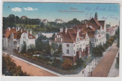 68951 Feldpost Ak Guben grüne Wiese mit Neissebergen 1917